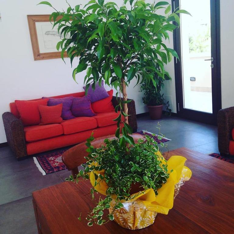 Moresco Resort Λαμπεντούζα Εξωτερικό φωτογραφία